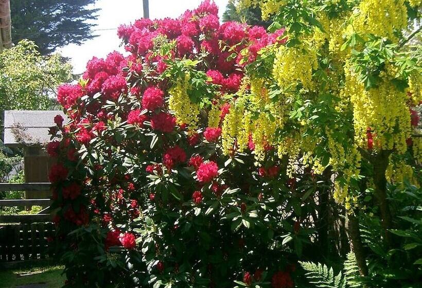 Bed and Breakfast Paths End