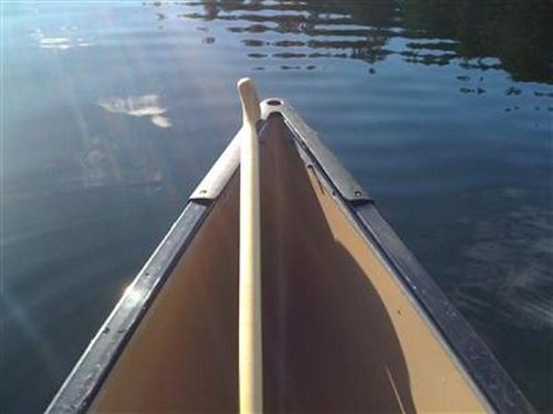 Dragonfly Dock Bed And Breakfast