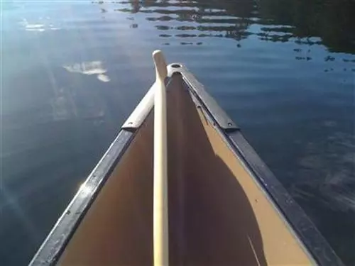 Dragonfly Dock Bed And Breakfast