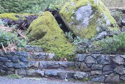 Dragonfly Dock Bed And Breakfast