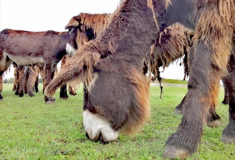 فندق Le Clos Saint Martin Hôtel & Spa