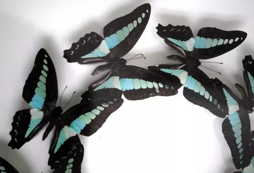 Hotel Le Clos Saint Martin Hôtel & Spa