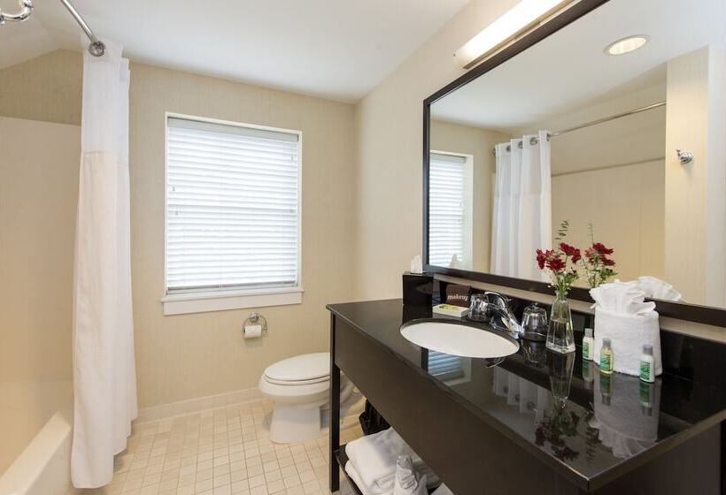 فندق The Brunswick