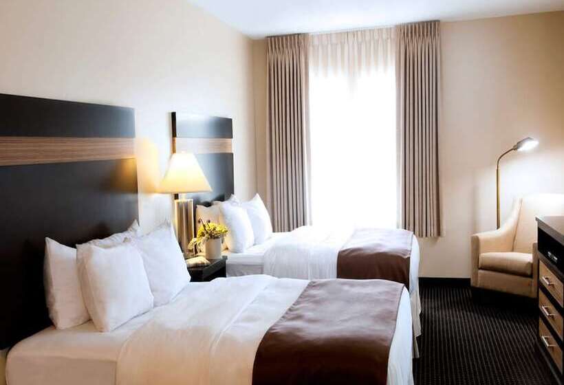 فندق The Brunswick