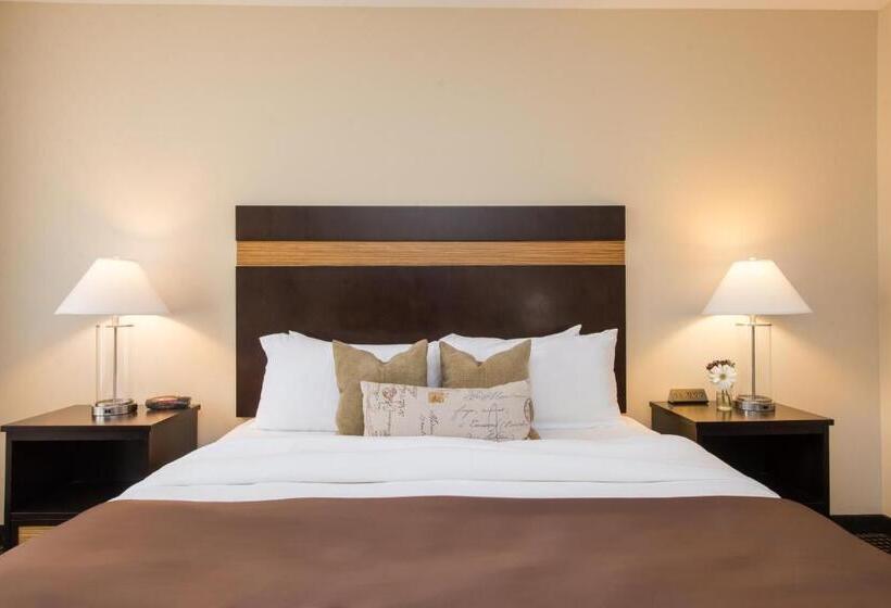 فندق The Brunswick