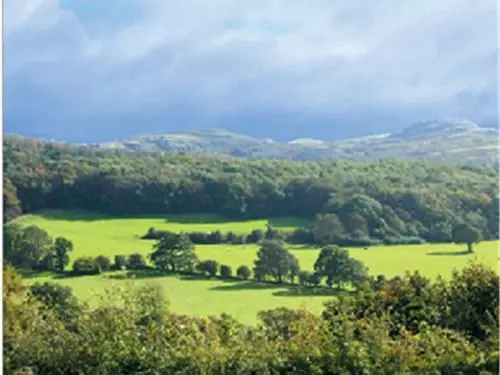 酒店 The Druid Inn