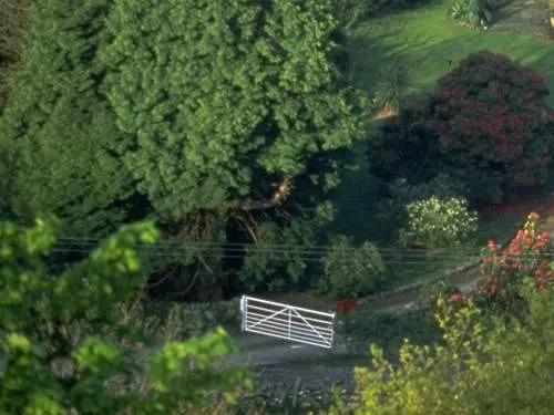 酒店 The Druid Inn