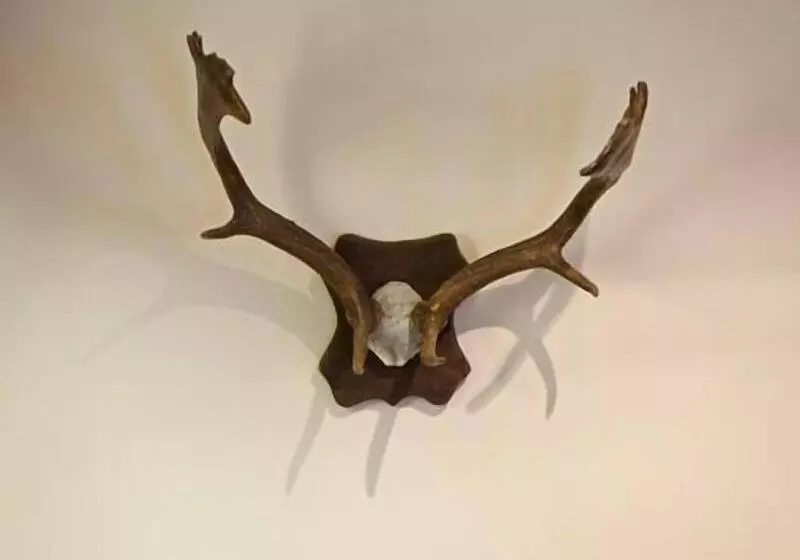 ホテル The Sun Inn