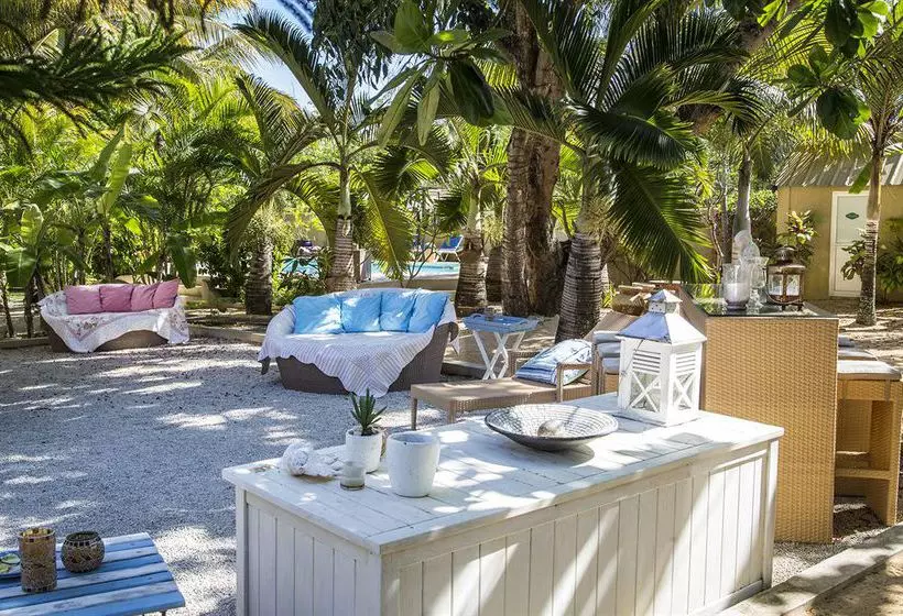 Majatalo Bleu De Toi