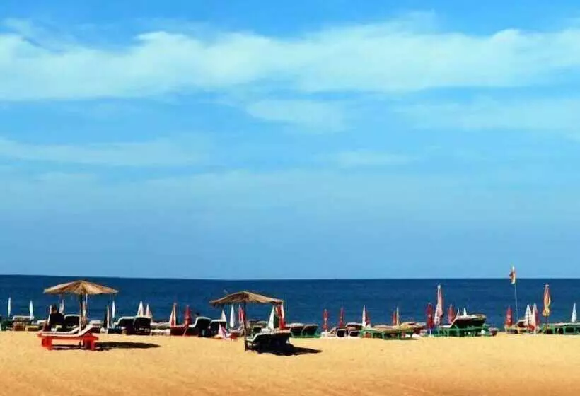 膳宿费 Bougainvillea Guest House