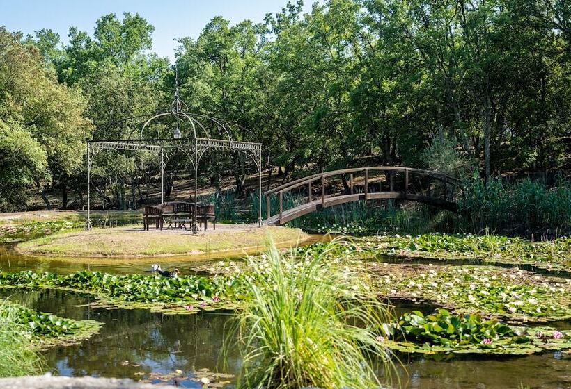 Пансион Chateau Les Crostes