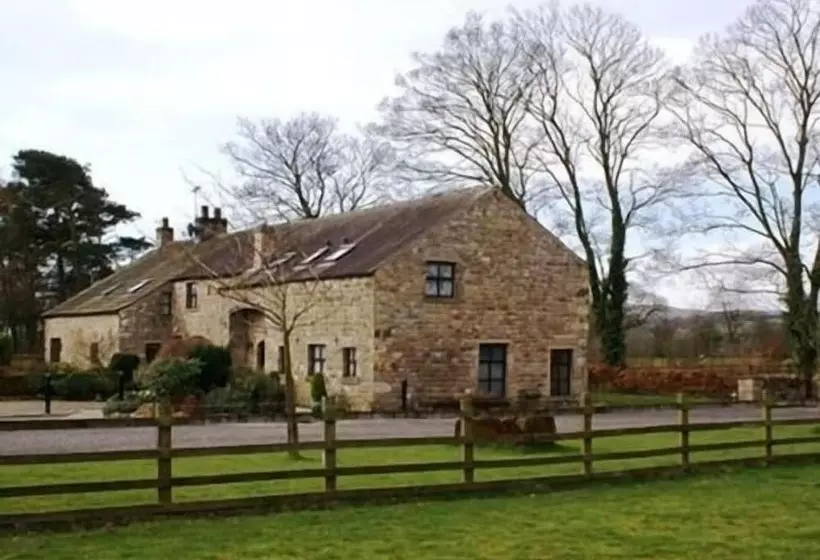 بنسيون Middle Flass Lodge