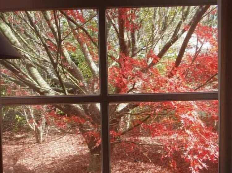 פנסיון Vineyard Cottages