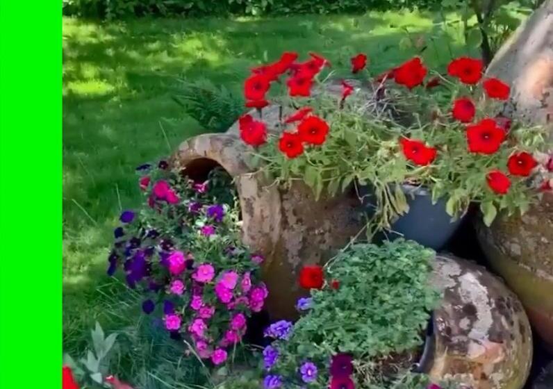 Bed and Breakfast Dinkel Verblijf