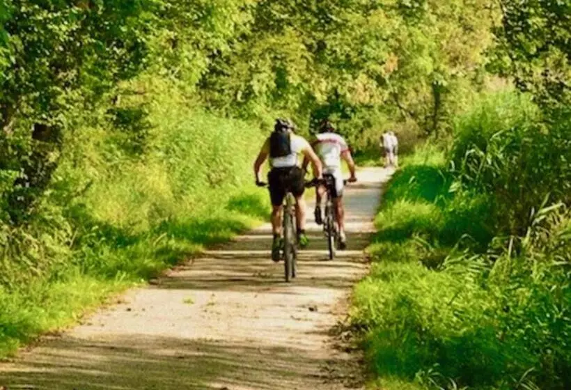 Aamiaismajoitus (B&B) Dinkel Verblijf