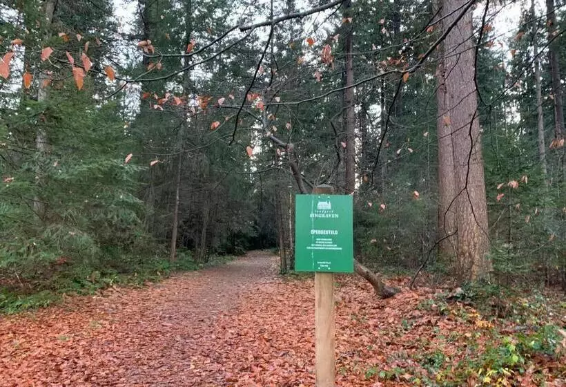 Aamiaismajoitus (B&B) Dinkel Verblijf