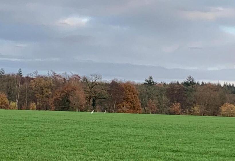 Bed and Breakfast Dinkel Verblijf