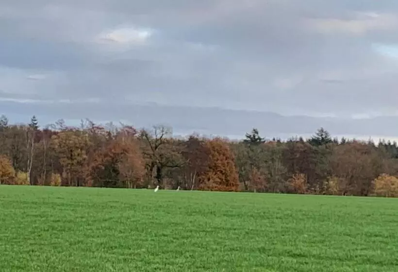 Aamiaismajoitus (B&B) Dinkel Verblijf