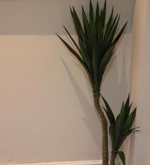 Bed and Breakfast Dockside Lodge