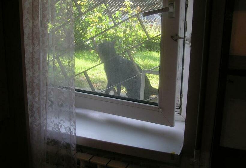 פנסיון A Kawalerka Mała Halczyna 9 Do Centrum 6 Przystanków