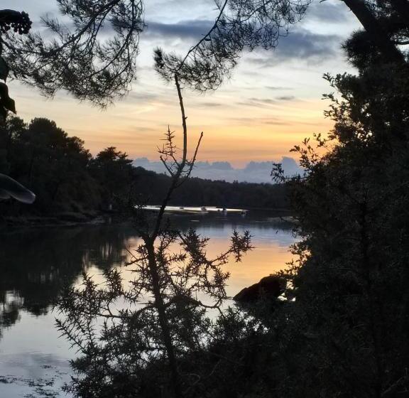 פנסיון Welcome