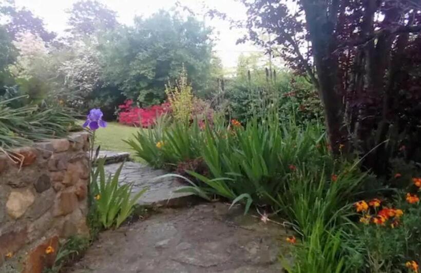 פנסיון Welcome