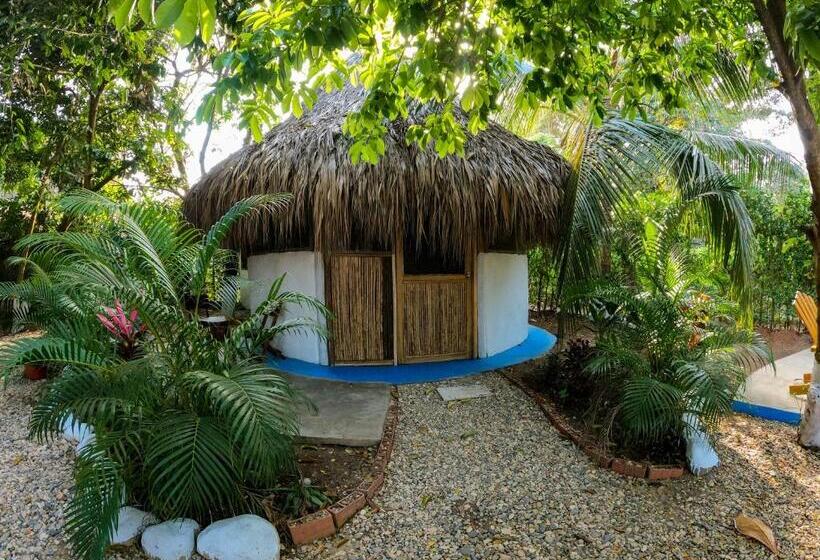 Pension (Hôtel basse catégorie) Los Almendros Palomino Hostel