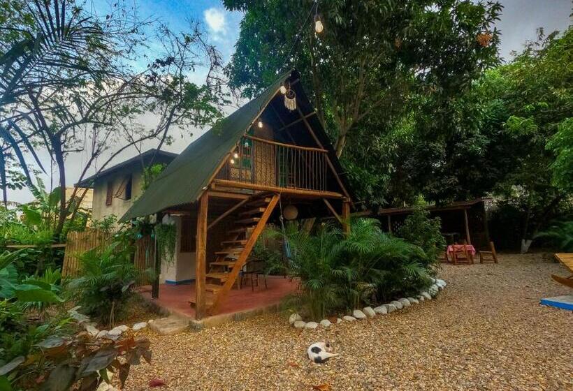 Pension (Hôtel basse catégorie) Los Almendros Palomino Hostel