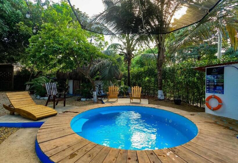 Pension (Hôtel basse catégorie) Los Almendros Palomino Hostel