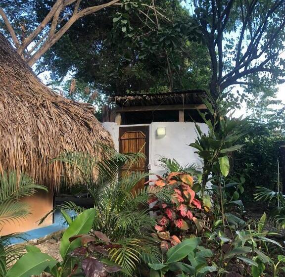 Pension (Hôtel basse catégorie) Los Almendros Palomino Hostel