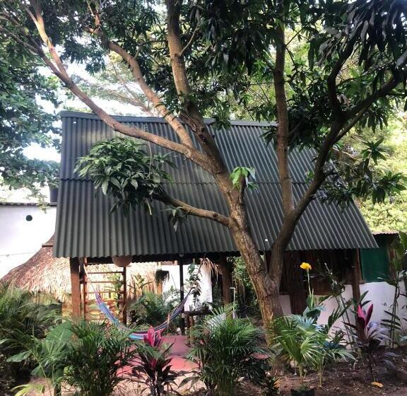 Pension (Hôtel basse catégorie) Los Almendros Palomino Hostel