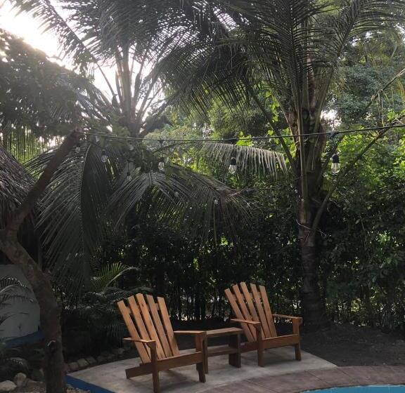 Pension (Hôtel basse catégorie) Los Almendros Palomino Hostel