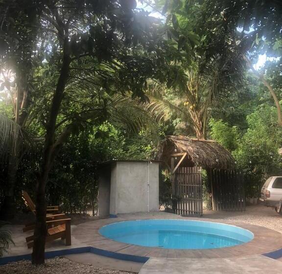 Pension (Hôtel basse catégorie) Los Almendros Palomino Hostel