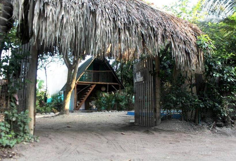 Pension (Hôtel basse catégorie) Los Almendros Palomino Hostel