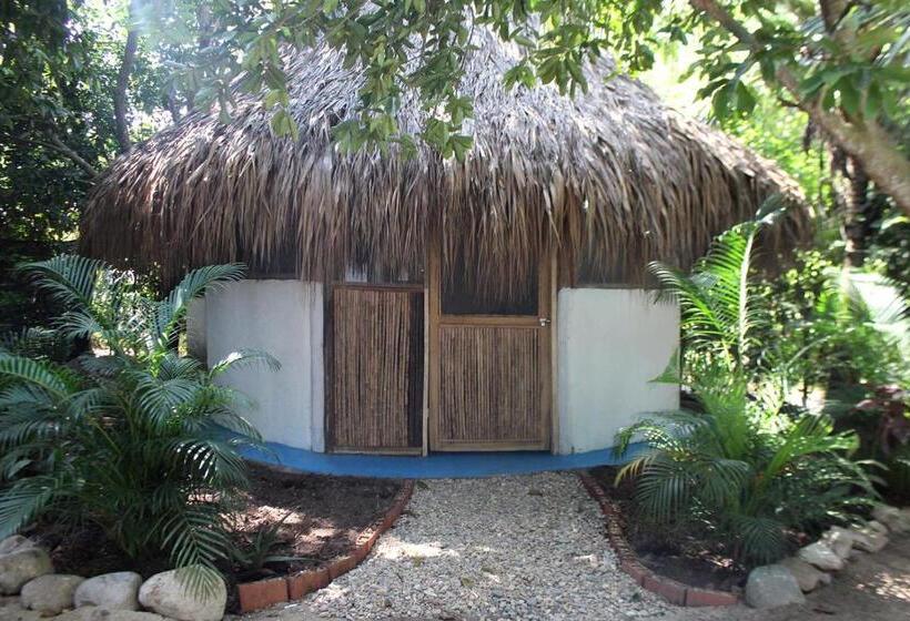 Pension (Hôtel basse catégorie) Los Almendros Palomino Hostel