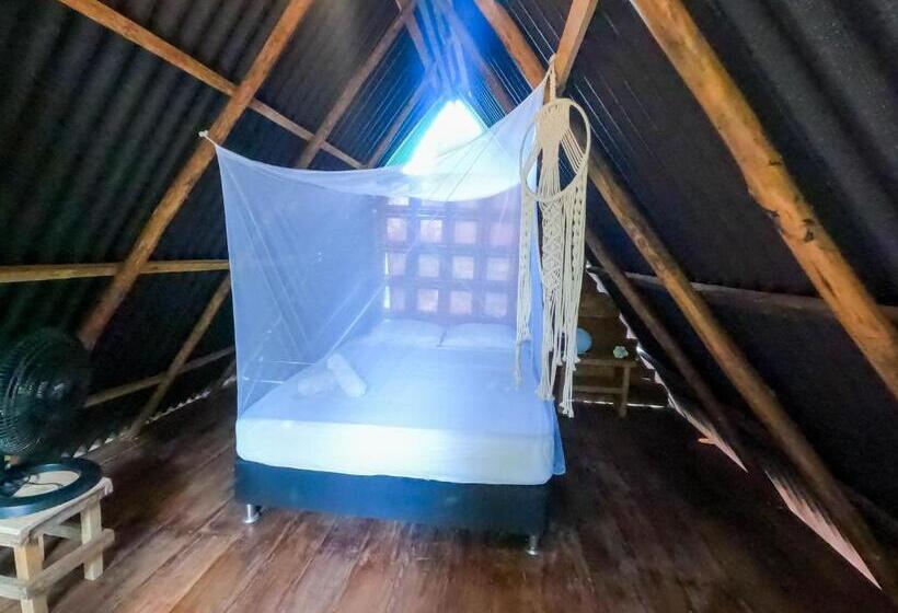 Pension (Hôtel basse catégorie) Los Almendros Palomino Hostel