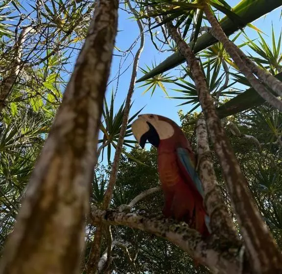 Retkeilymaja Pousada Das Brumas