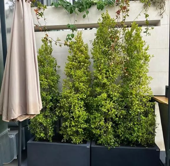 Aamiaismajoitus (B&B) Club64