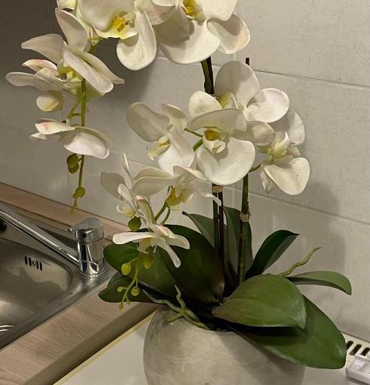 Bed and Breakfast Il Casaletto Di Laura