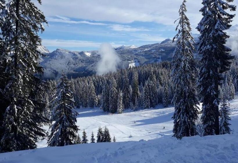 Nocleg ze śniadaniem Jeff S   Rooms With A Mountain View