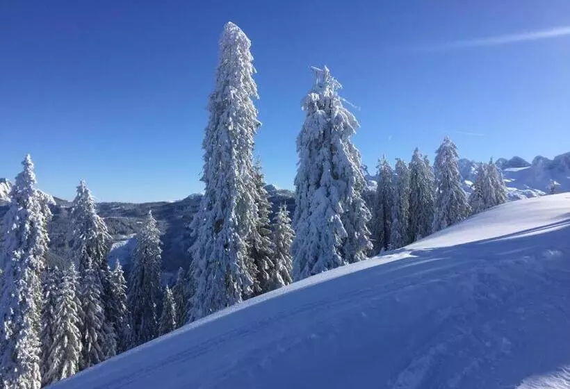 ベッドアンドブレックファースト Jeff S   Rooms With A Mountain View