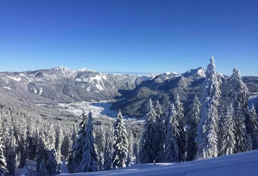 ベッドアンドブレックファースト Jeff S   Rooms With A Mountain View