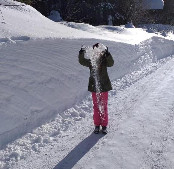 Nocleg ze śniadaniem Jeff S   Rooms With A Mountain View