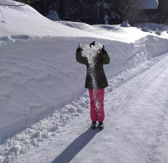 ベッドアンドブレックファースト Jeff S   Rooms With A Mountain View