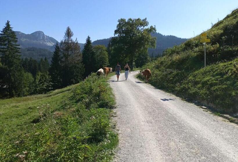 Nocleg ze śniadaniem Jeff S   Rooms With A Mountain View