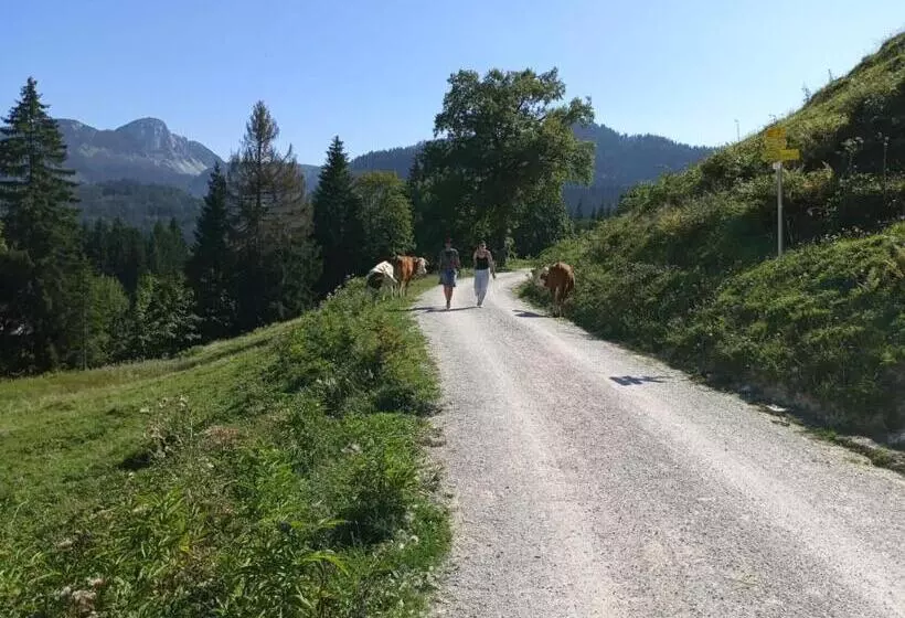 ベッドアンドブレックファースト Jeff S   Rooms With A Mountain View