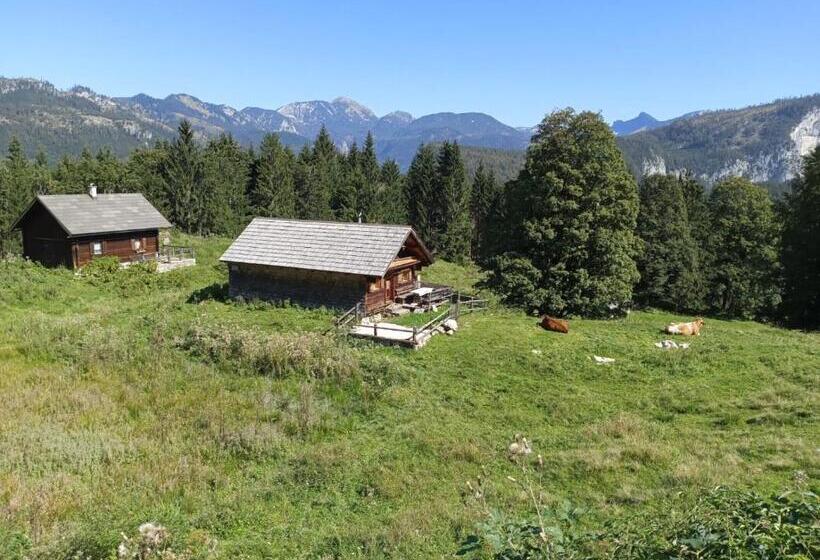 Nocleg ze śniadaniem Jeff S   Rooms With A Mountain View
