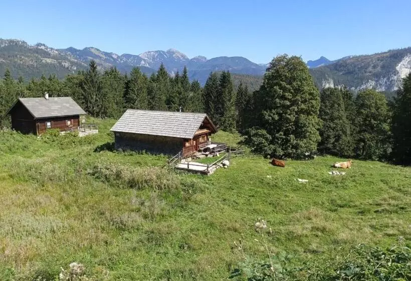 ベッドアンドブレックファースト Jeff S   Rooms With A Mountain View