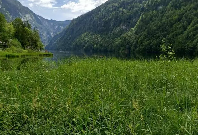 ベッドアンドブレックファースト Jeff S   Rooms With A Mountain View