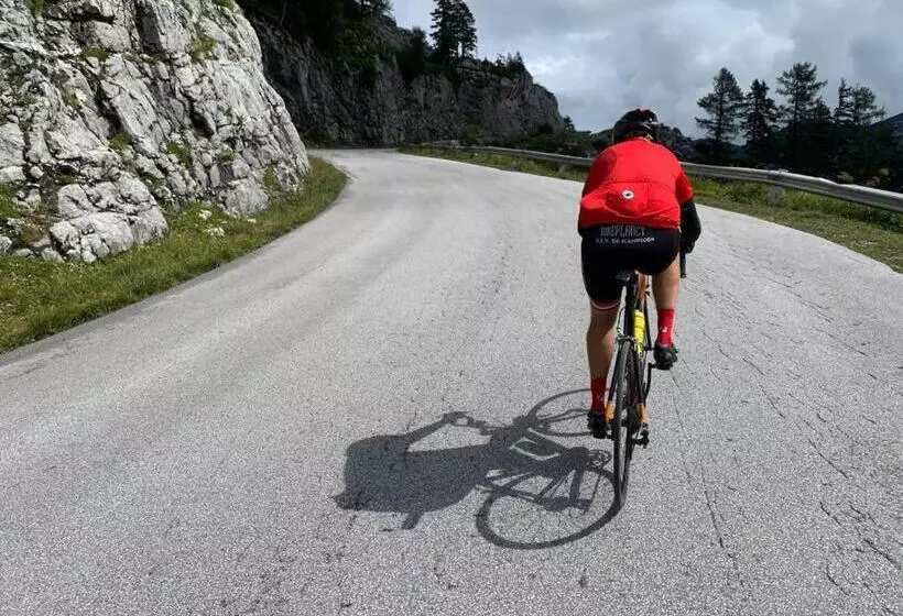 ベッドアンドブレックファースト Jeff S   Rooms With A Mountain View